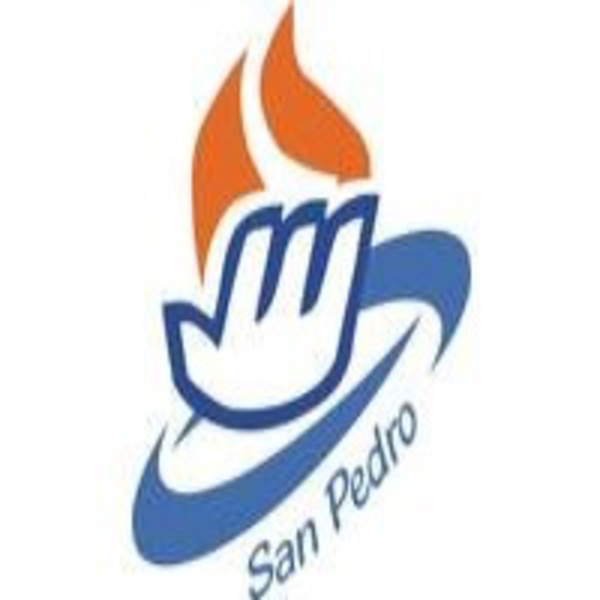 Artwork for accion juvenil san pedro