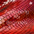 Accounting For Beginners