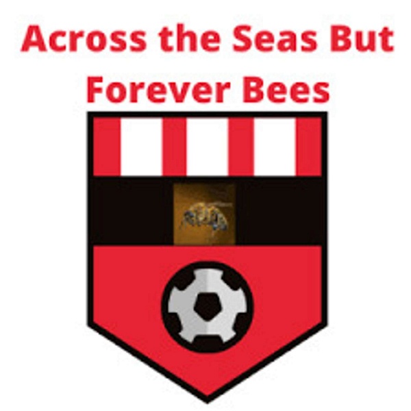 Artwork for Across the Seas but Forever Bees