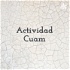 Actividad Cuam - Philip Kotler - Chávez