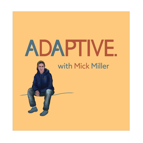 Artwork for Adaptive