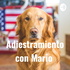 Adiestramiento con Mario