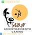 ADN Adiestramiento Canino