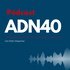 adn40