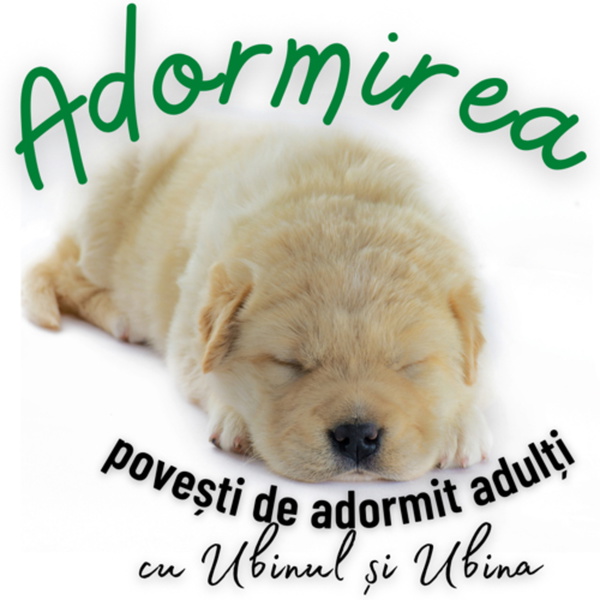 Artwork for Adormirea