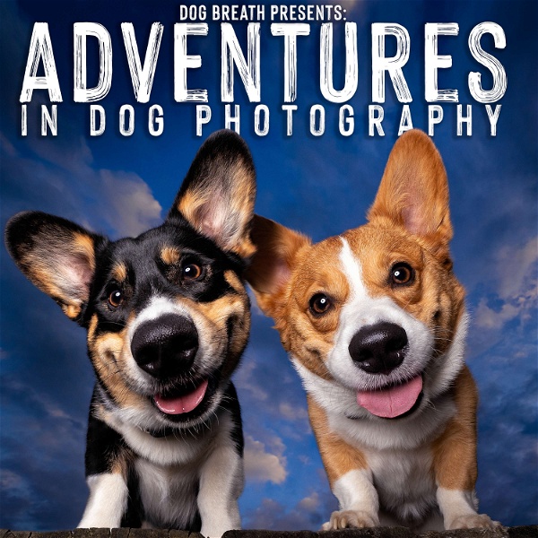 Artwork for Adventures in Dog Photography