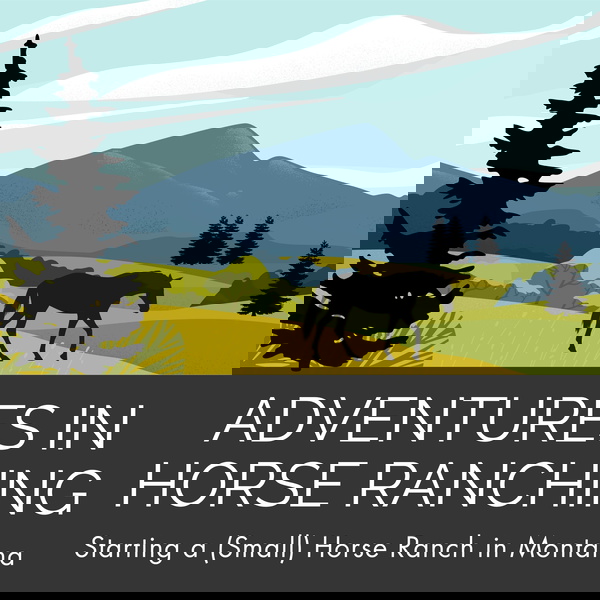 Artwork for Adventures In Horse Ranching