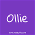 Short Stories for Kids – Adventures with Ollie