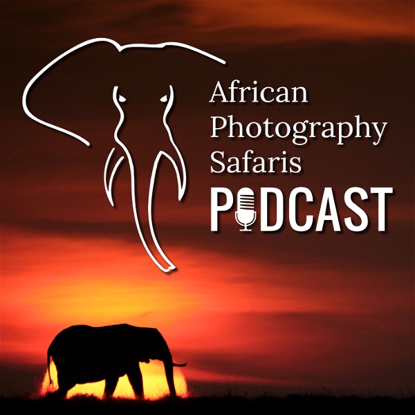 Artwork for African Photography Safaris