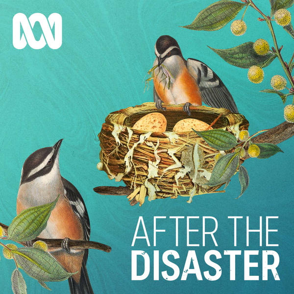 Artwork for After The Disaster