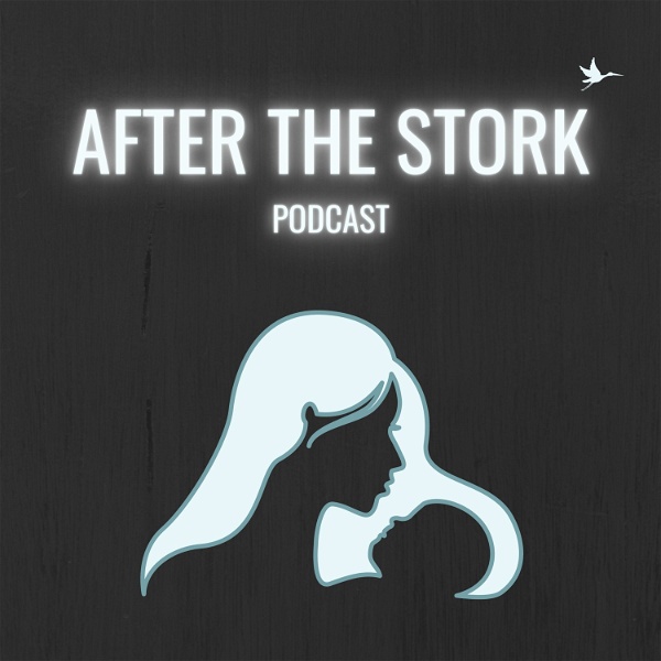 Artwork for After the Stork Podcast: Infant & Toddler Sleep with Megan Robert