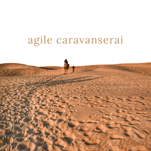Artwork for Agile Caravanserai