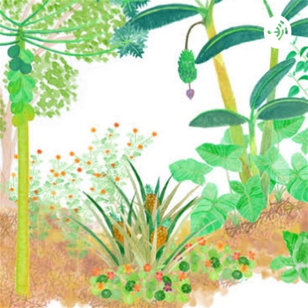 Artwork for Agrofloresta e Biodiversidade