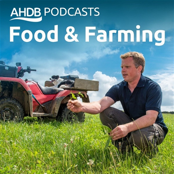 Artwork for AHDB Food & Farming