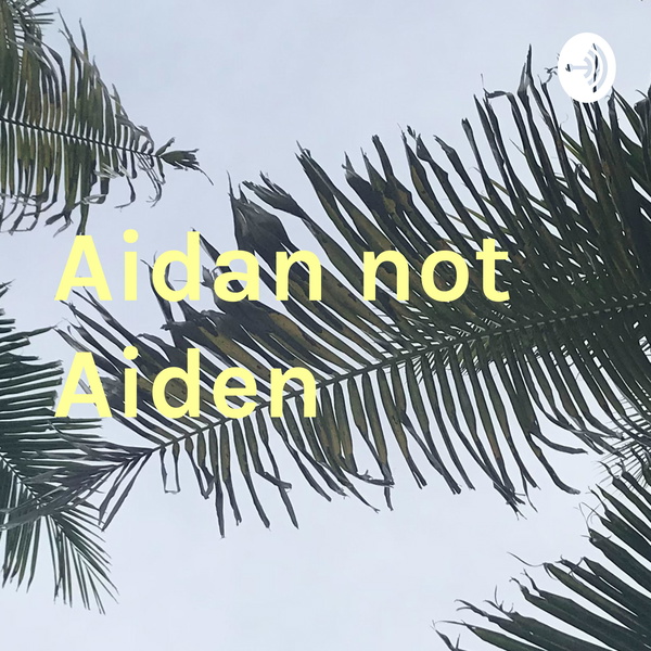 Artwork for Aidan not Aiden