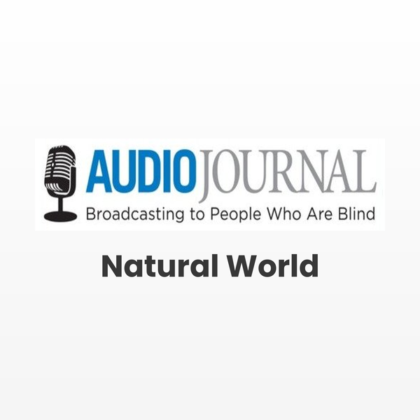 Artwork for AJ Natural World