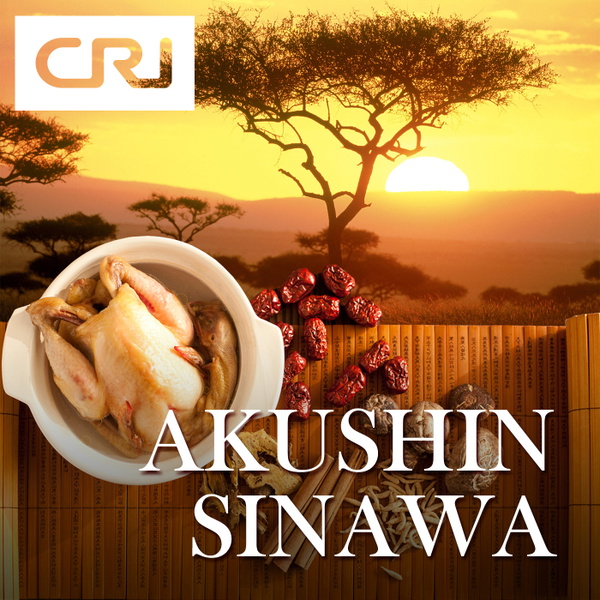 Artwork for AKUSHIN SINAWA
