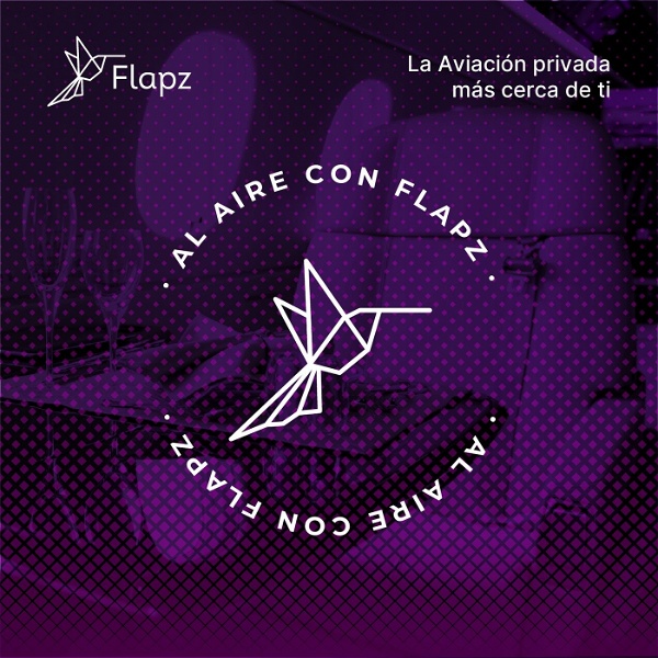 Artwork for Al aire con Flapz