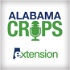 Alabama Crops Report