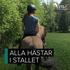 Ålands Radio - Alla hästar i stallet