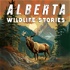 Alberta Wildlife Stories