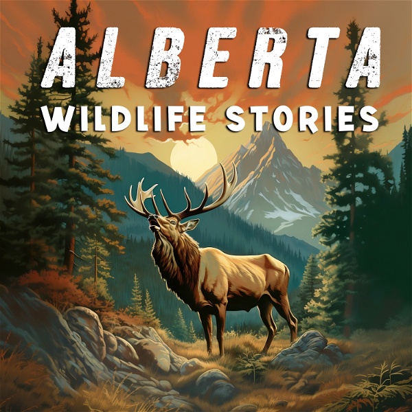 Artwork for Alberta Wildlife Stories