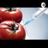 Alimentos Transgénicos