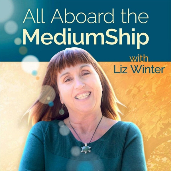 Artwork for All Aboard The MediumShip
