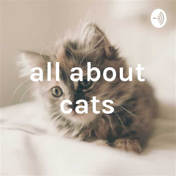 Artwork for all about cats