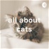 all about cats