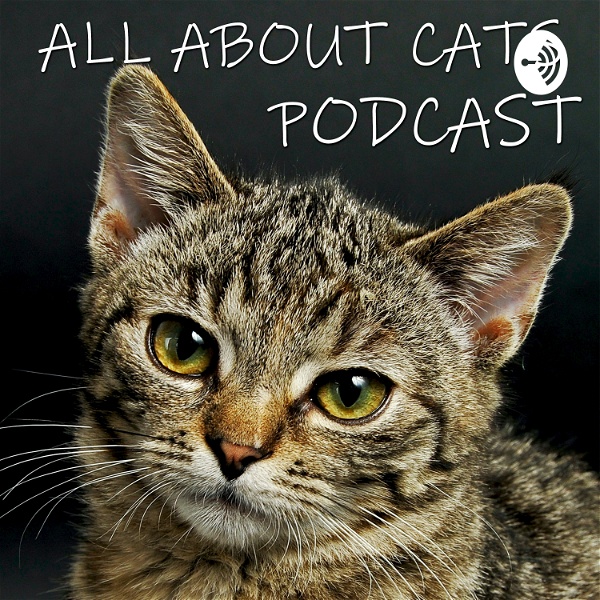 Artwork for All About Cats Podcast