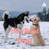 All About Dogs