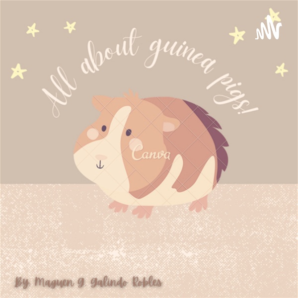 Artwork for All about guinea pigs