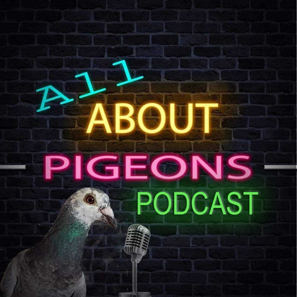 Artwork for All About Pigeons
