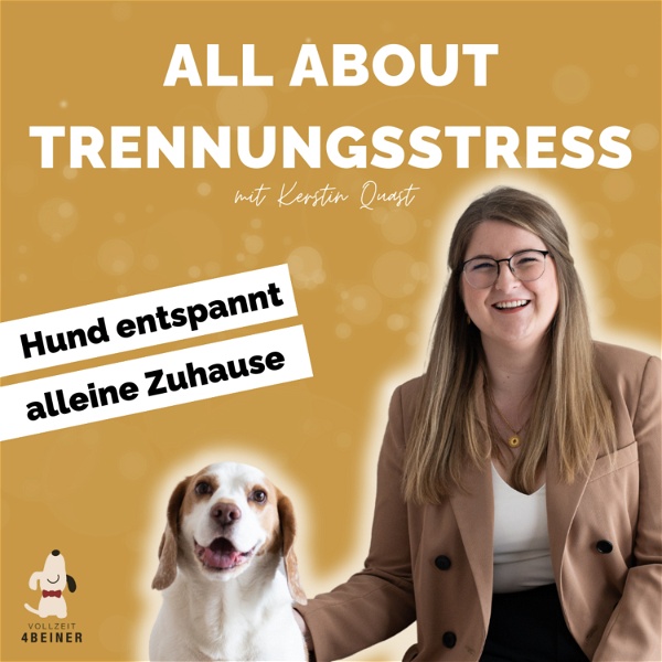 Artwork for All About Trennungsstress