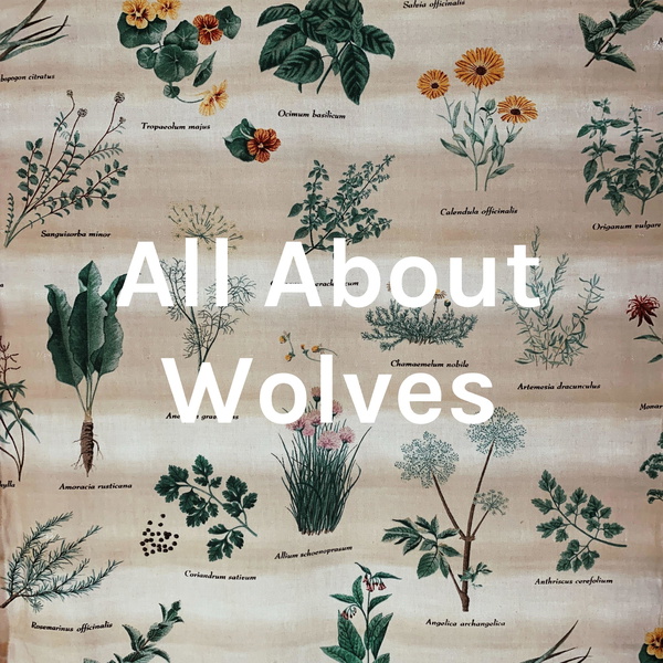 Artwork for All About Wolves
