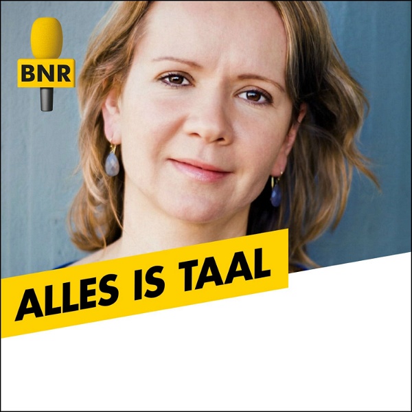 Artwork for Alles is Taal