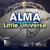 ALMA Little Universe