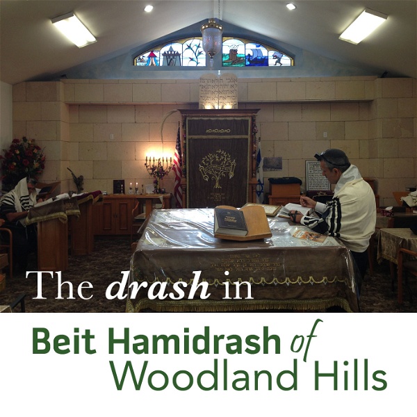 Artwork for Almost Daily Jewish Wisdom at Beit Hamidrash of Woodland Hills