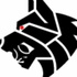 Alpha Padel Podcast