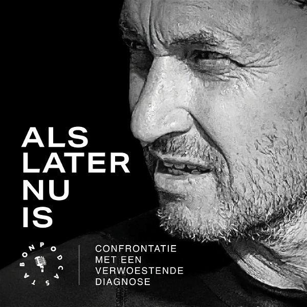 Artwork for Als later nu is