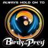 Always Hold On To Birds Of Prey