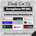 Amapiano 101 Mix by Randy Da Dj