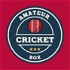 Amateur Cricket Box