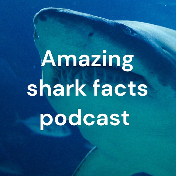 Artwork for Amazing shark facts podcast