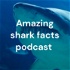 Amazing shark facts podcast (for kids or adults)!