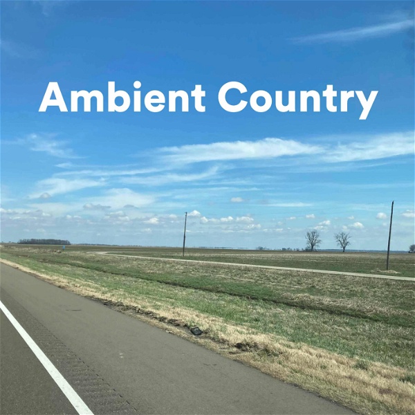 Artwork for Ambient Country