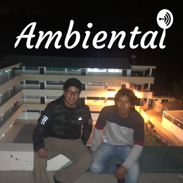 Artwork for Ambiental