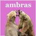 Ambras
