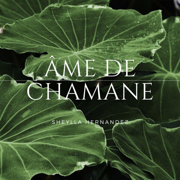 Artwork for ÂME DE CHAMANE